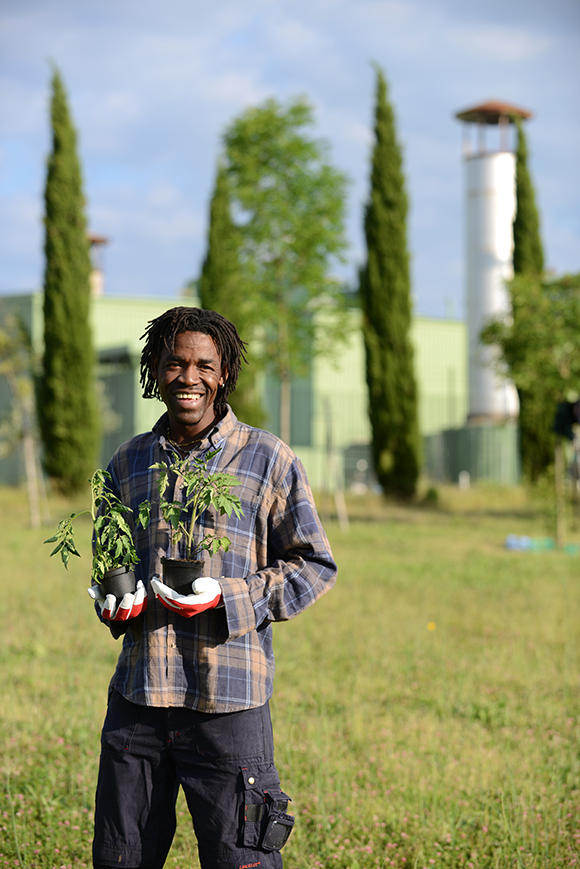 A Garden in the Network: a traveling photographic exhibition