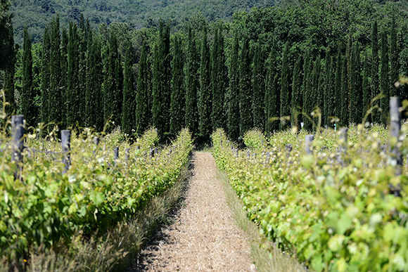 A Garden in the Network: a traveling photographic exhibition