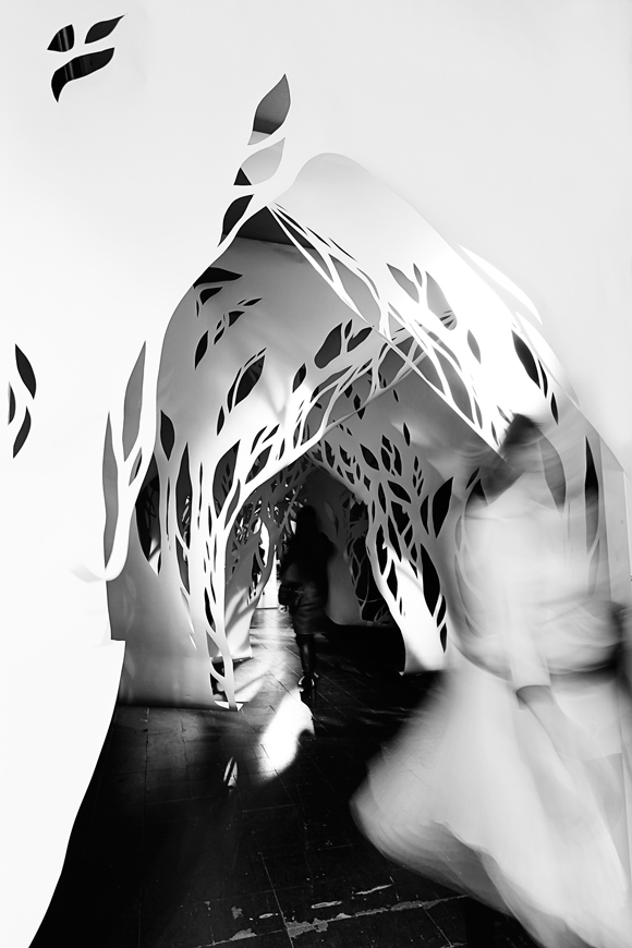 An Ephemeral Forest
