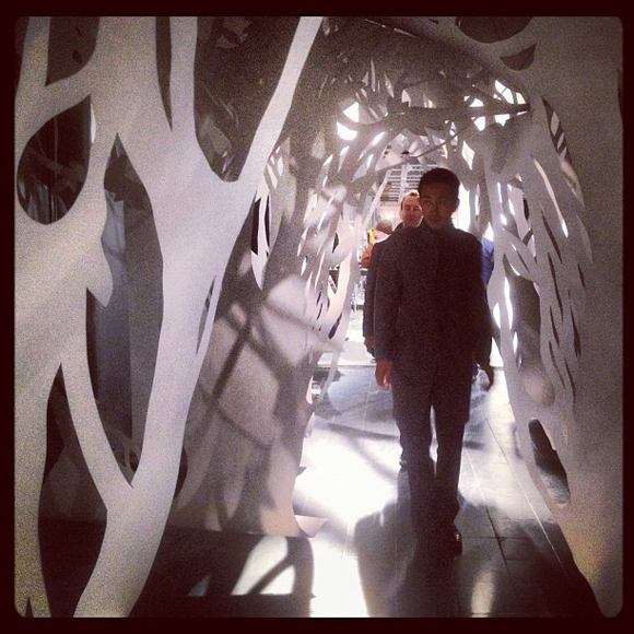 An Ephemeral Forest