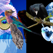 Machas James Dawe - Birds
