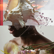 Machas James Dawe - Portrait 3
