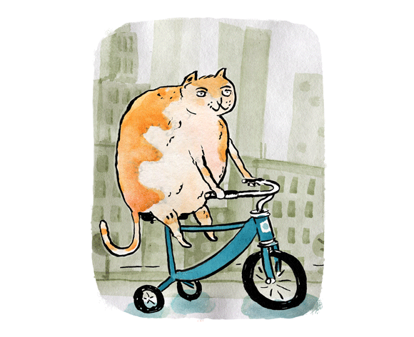 James Braithwaite_Cat Bike