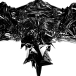 Blackbird